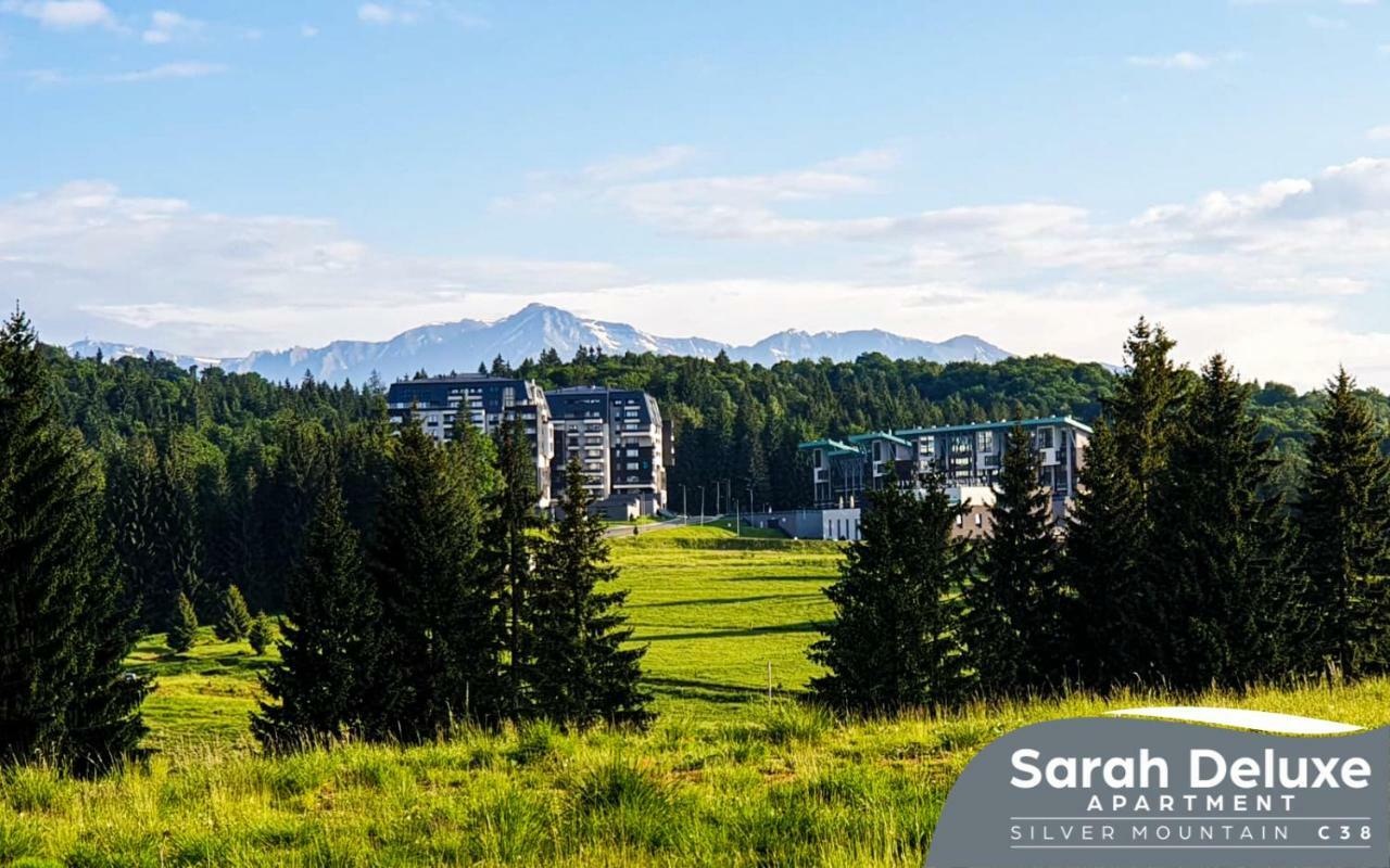פויאנה ברשוב Sarah Deluxe Apartment In Silver Mountain מראה חיצוני תמונה
